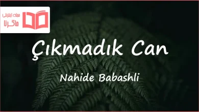متن و ترجمه آهنگ Çıkmadık Can از Nahide Babashli