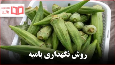 روش نگهداری بامیه