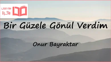 متن و ترجمه آهنگ Bir Güzele Gönül Verdim از Onur Bayraktar