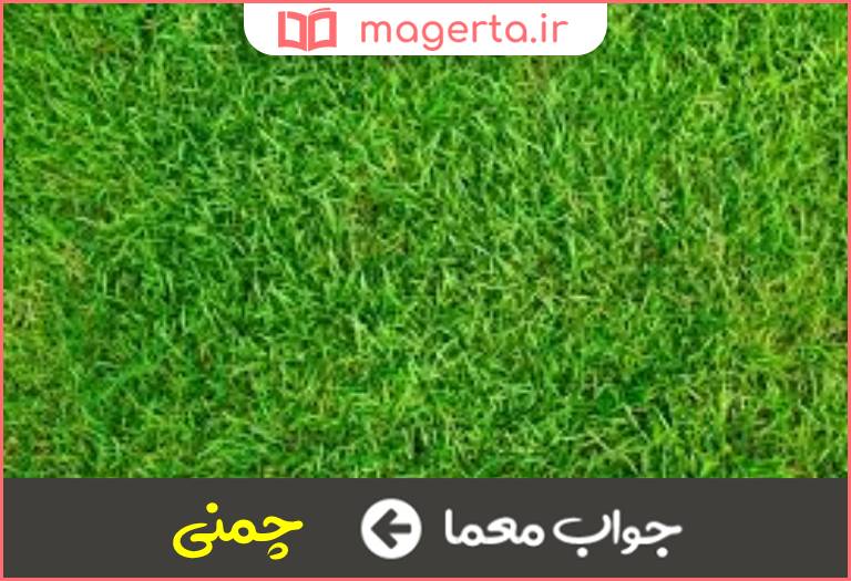 جواب معما سبز کم رنگ در جدول