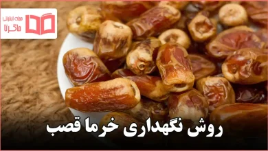 روش نگهداری خرما قصب