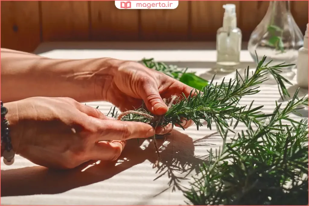 نگهداری رزماری تازه در کیسه زیپدار داخل یخچال