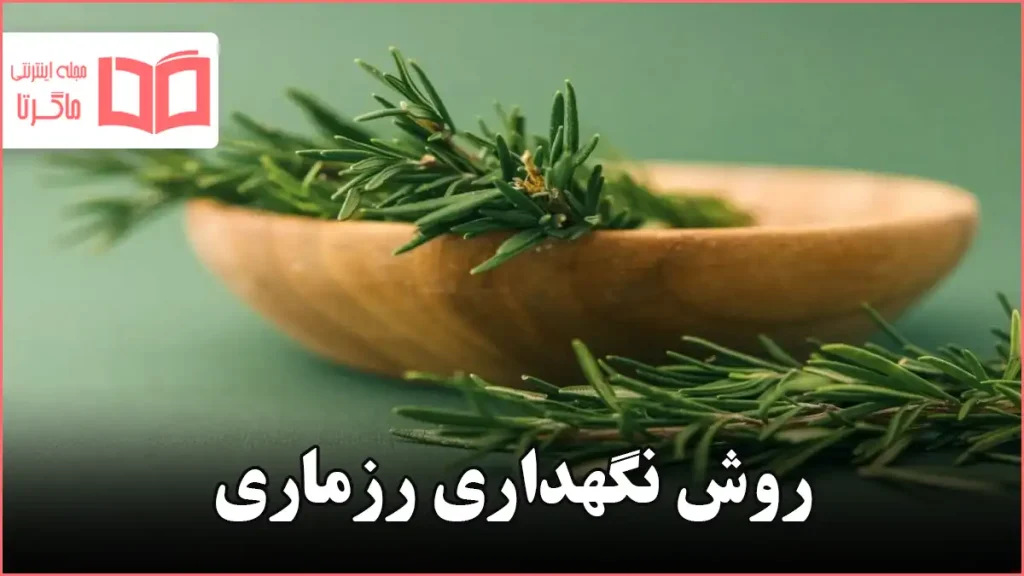 روش نگهداری رزماری