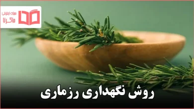 روش نگهداری رزماری