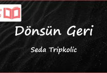 متن و ترجمه آهنگ Dönsün Geri از Seda Tripkolic