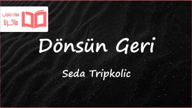 متن و ترجمه آهنگ Dönsün Geri از Seda Tripkolic