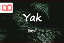 متن و ترجمه آهنگ Yak از Seva