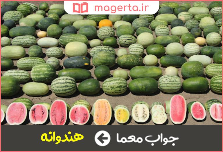 جواب معما میوه هفت رنگ در جدول