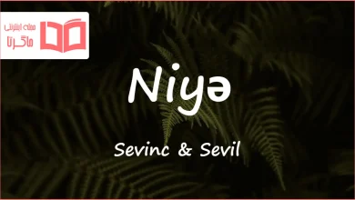 متن و ترجمه آهنگ Niyə از Sevinc و Sevil