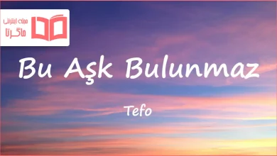 متن و ترجمه آهنگ Bu Aşk Bulunmaz از Tefo و Seko و Zühre Bu