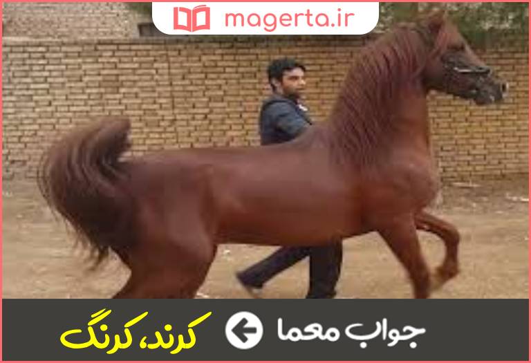 جواب معما اسب خرمایی در جدول