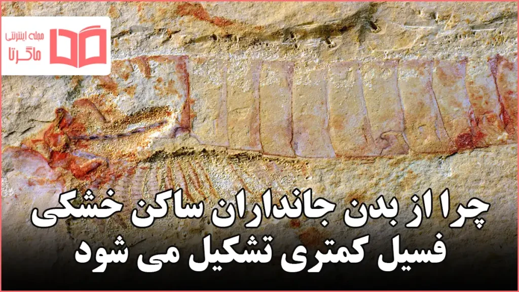 چرا از بدن جانداران ساکن خشکی فسیل کمتری تشکیل می شود