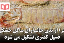 چرا از بدن جانداران ساکن خشکی فسیل کمتری تشکیل می شود