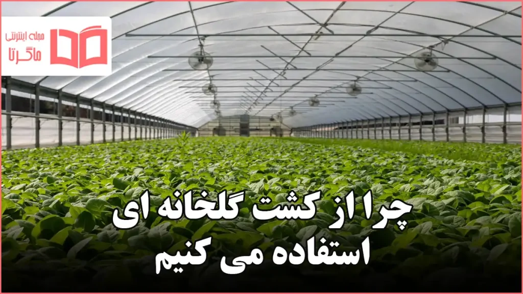 چرا از کشت گلخانه ای استفاده می کنیم