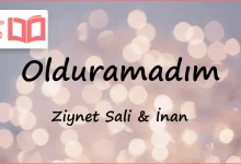 متن و ترجمه آهنگ Olduramadım از Ziynet Sali و İnan