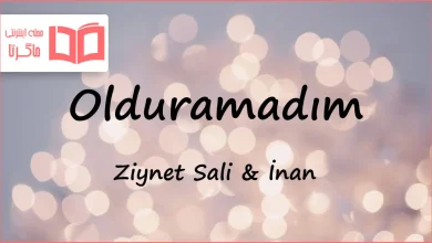 متن و ترجمه آهنگ Olduramadım از Ziynet Sali و İnan