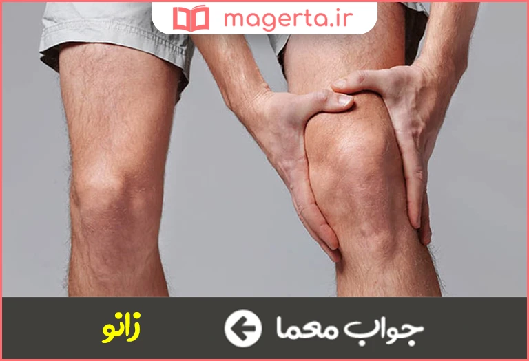 جواب معما آرنج پا در جدول
