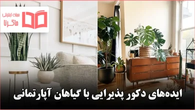 ایده دکور پذیرایی با گیاهان آپارتمانی