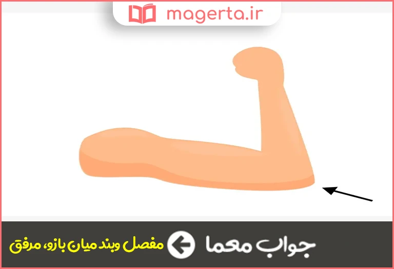 جواب معما معنی آرنج در جدول