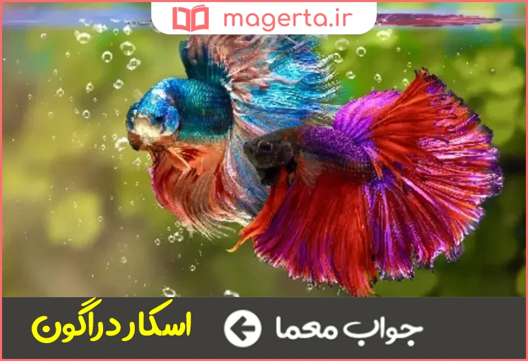 جواب معما از ماهی های آکواریومی در جدول