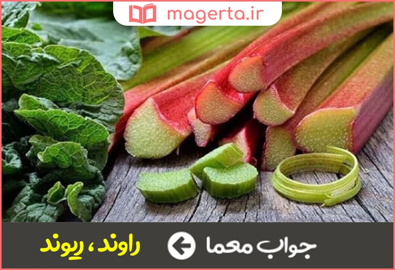 جواب معما بیخ ریواس در جدول