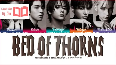 متن و ترجمه آهنگ Bed of Thorns از TXT