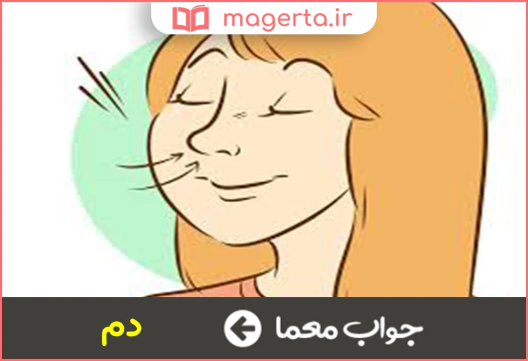 جواب معما نفس غنیمتی در جدول