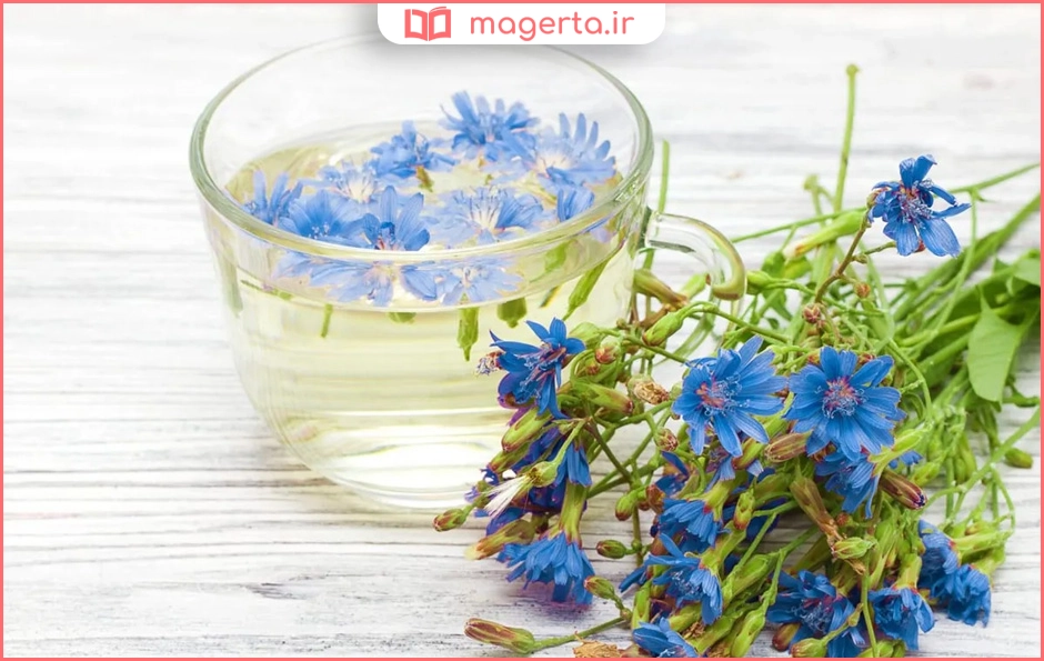عرق کاسنی برای دیابت