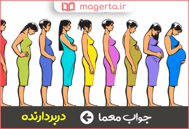 جواب معما حامل در جدول