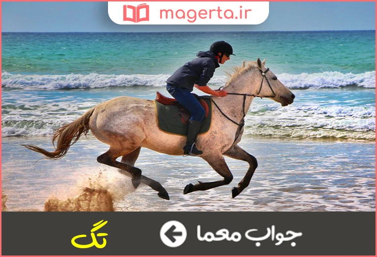 جواب معما تاختن و تند رفتن در جدول