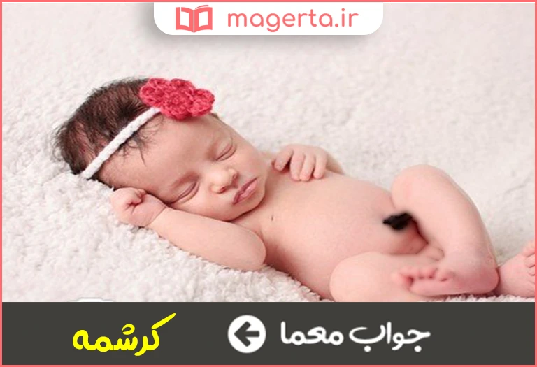 جواب معما ناز وادا در جدول