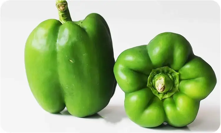 فلفل دلمه سبز خام برای لاغری