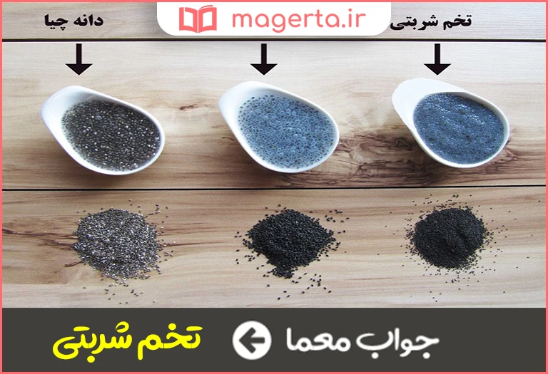 جواب معما دانه های گیاهی که در تهیه شربت استفاده میشود در جدول