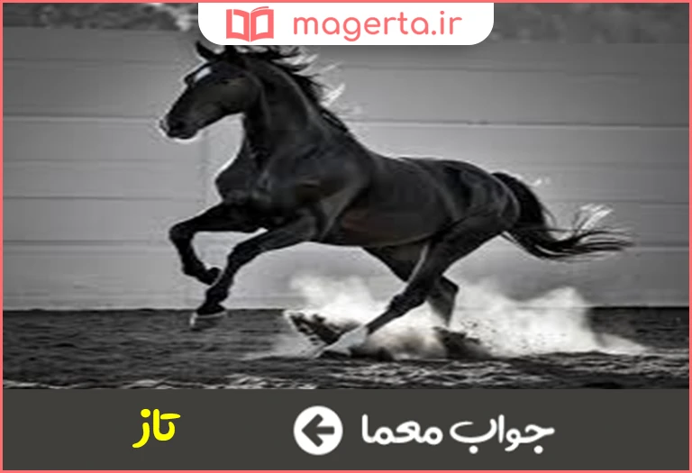 جواب معما پسوند تاختن در جدول