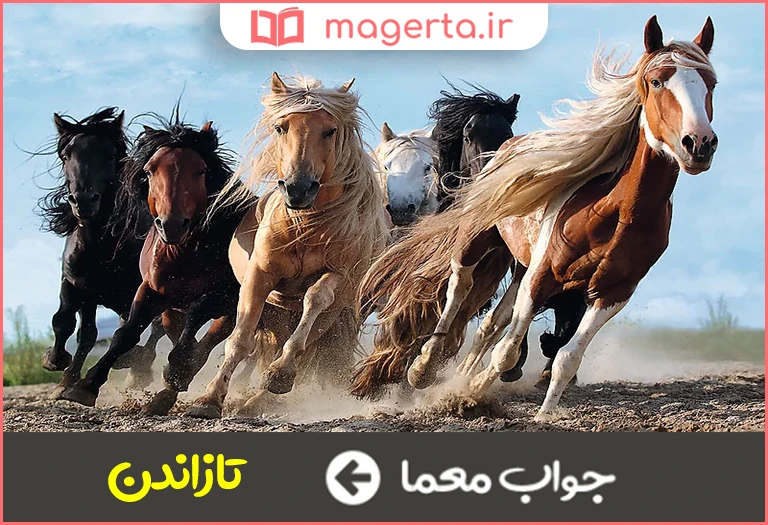 جواب معما به تاخت در آوردن در جدول
