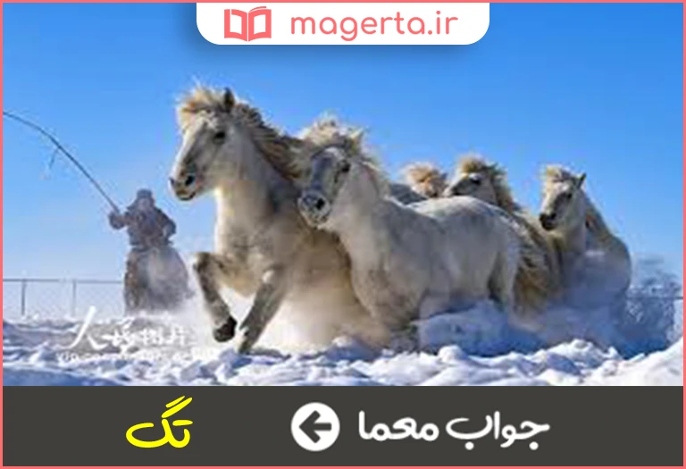 جواب معما تاختن دو حرفی در جدول