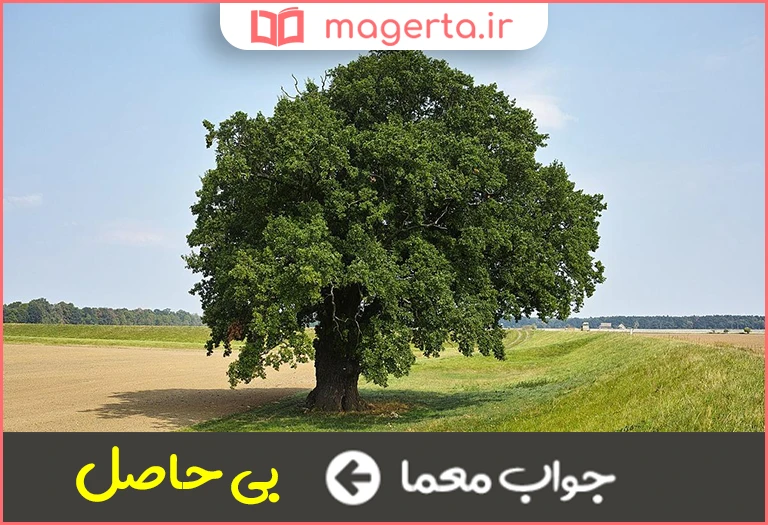 جواب معما بیهوده و بی ثمر در جدول