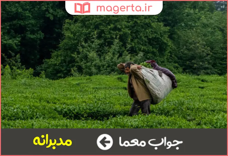 جواب معما توام با تدبیر در جدول