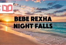 متن و ترجمه آهنگ Night Falls از Bebe Rexha