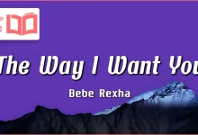 متن و ترجمه آهنگ The Way I Want You از Bebe Rexha