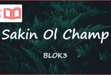 متن و ترجمه آهنگ Sakin Ol Champ از BLOK3