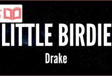 متن و ترجمه آهنگ Little Birdie از Drake