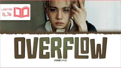 متن و ترجمه آهنگ Overflow از EVAN