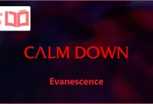 متن و ترجمه آهنگ Calm Down از Evanescence