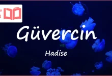 متن و ترجمه آهنگ Güvercin از Hadise