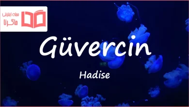 متن و ترجمه آهنگ Güvercin از Hadise