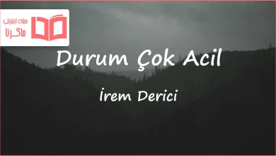 متن و ترجمه آهنگ Durum Çok Acil از İrem Derici