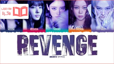 متن و ترجمه آهنگ Revenge از MEOVV