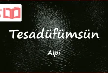 متن و ترجمه آهنگ Tesadüfümsün از Alpi