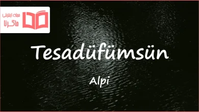متن و ترجمه آهنگ Tesadüfümsün از Alpi